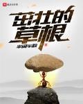 茁壮的草根