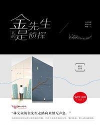 我的金先生是侦探
