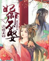 二嫁王妃:妃卿不娶