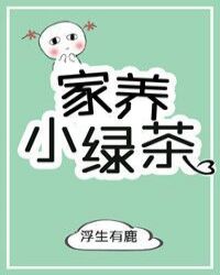家养小绿茶