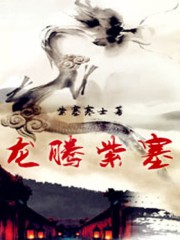 龙腾紫塞