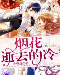 烟花逝去的冷