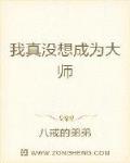 我真没想成为大师