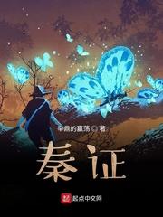 秦探