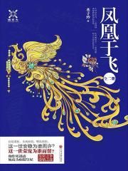 凤凰于飞（全两册）