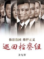 《巡回检察组》原著小说