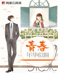 青春年华似锦