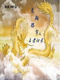 龙翔都市之王者归来