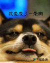 我变成了一条狗