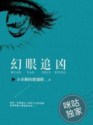 幻眼追凶