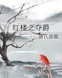 红楼之夺爵