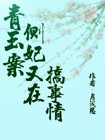 青玉案：侧妃又在搞事情