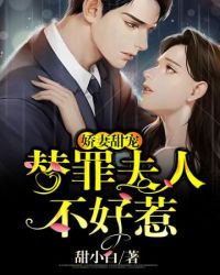 替罪夫人不好惹