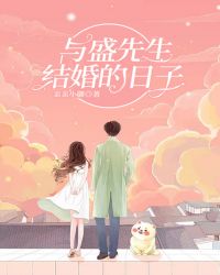 与盛先生结婚的日子