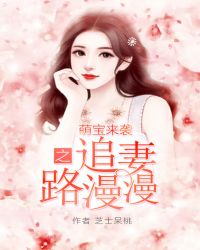 萌宝来袭之追妻路漫漫